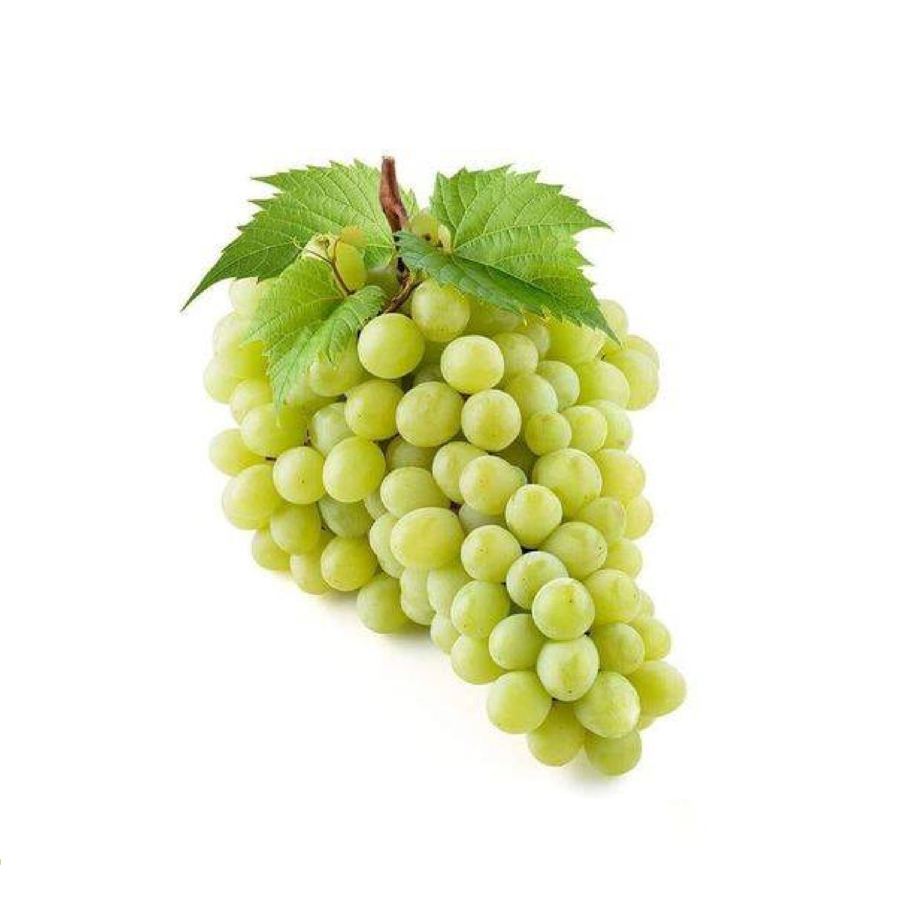 সবুজ আঙ্গুর খাওয়ার ১৪টি উপকারিতা - Green Grapes  